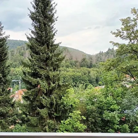 Apartman Feel Glueck Bad Grund