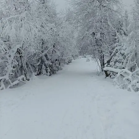 Feel Glueck Apartman